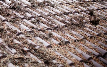 Skinnerton roof cleaning companies